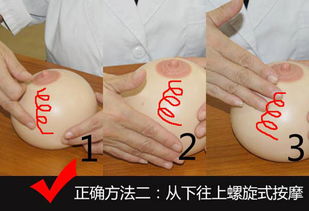 24歲財會男跨界轉(zhuǎn)型 催乳師之路，單次收費300至千元的高級職業(yè)探索